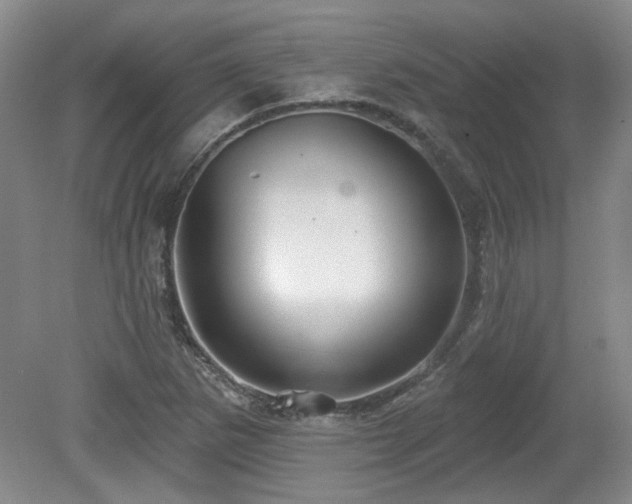 X0000080181265200612081352