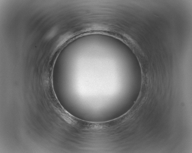 X0000080181266200612081352