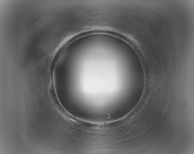 X0000080181271200612081352