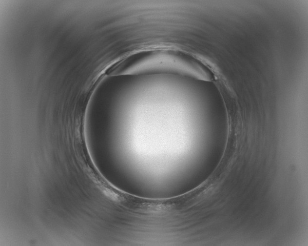 X0000080181273200612081352