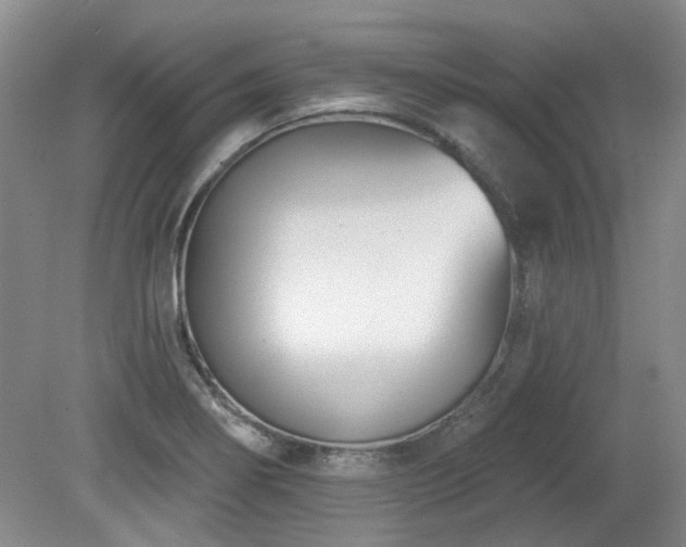 X0000080181274200612081352