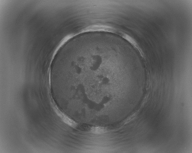 X0000080181275200612081352