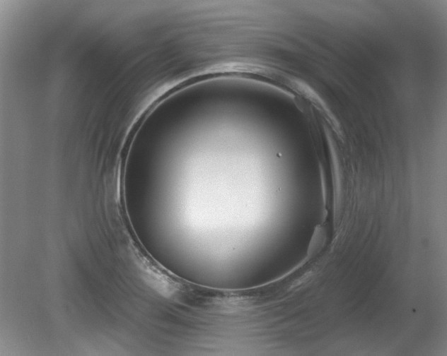 X0000080181276200612081351