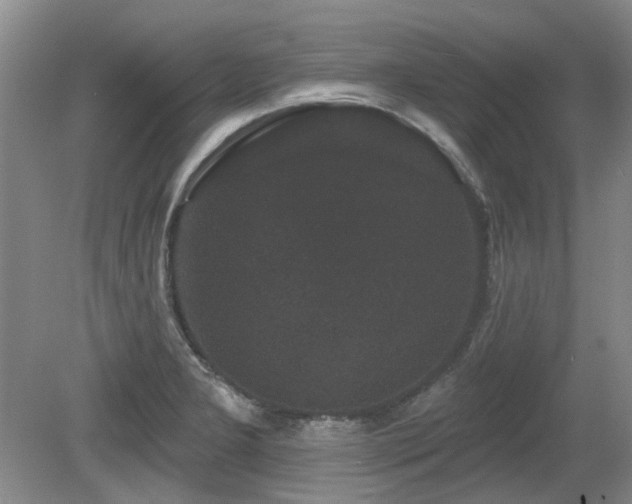 X0000080181277200612081351