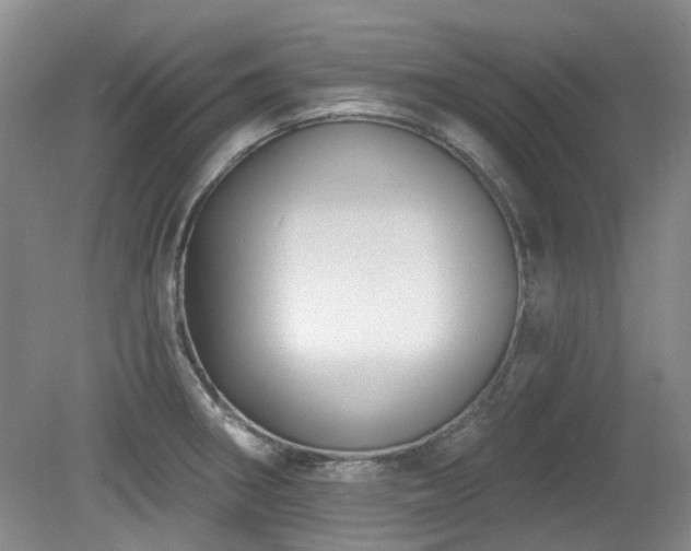 X0000080181282200612081351