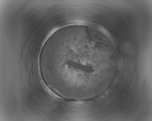 X0000080181283200612081351