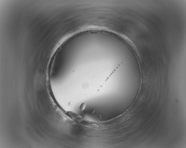 X0000080181287200612081351