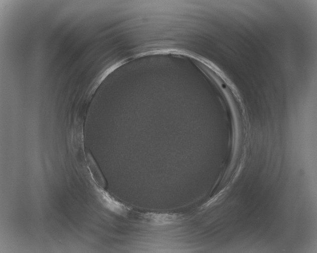 X0000080181289200612081351