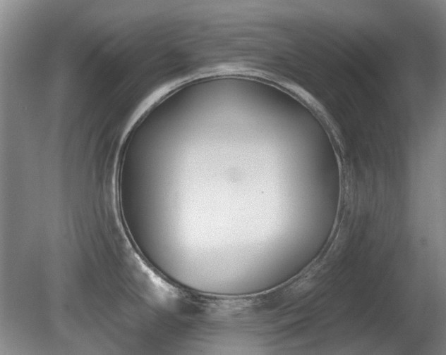 X0000080181294200612081351