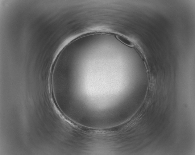 X0000080181295200612081351