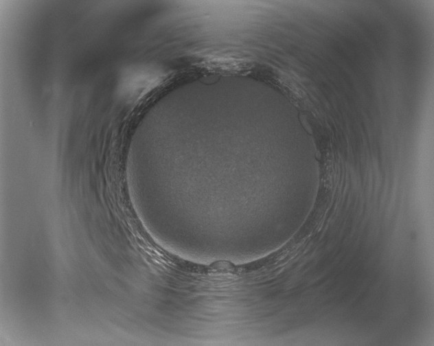 X0000080181297200612081350