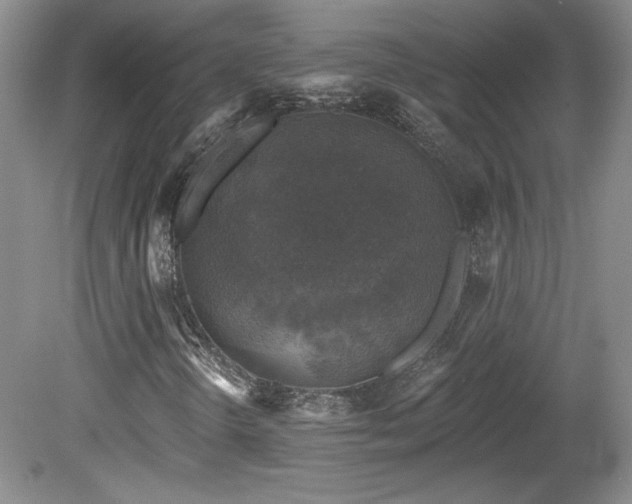 X0000080181298200612081350