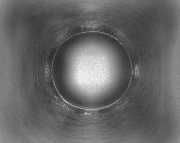 X0000080181299200612081350