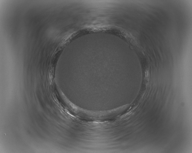 X0000080181300200612081350