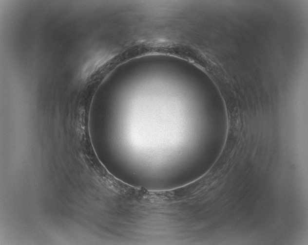 X0000080181301200612081350