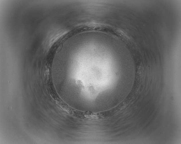 X0000080181302200612081350