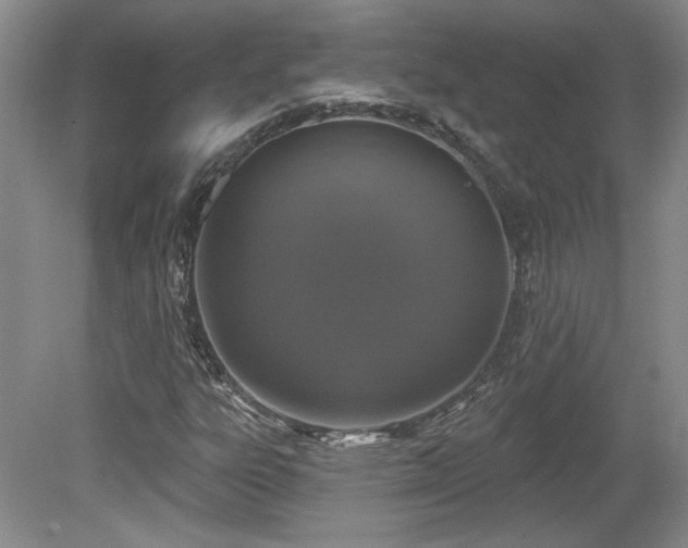 X0000080181303200612081350