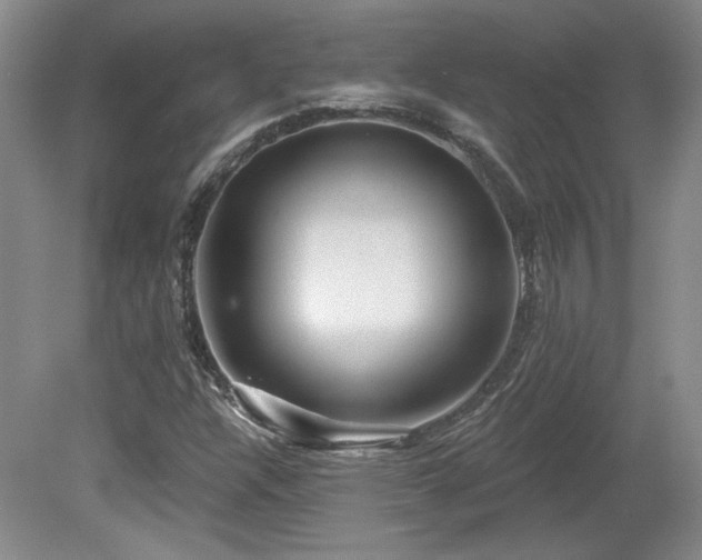 X0000080181304200612081350