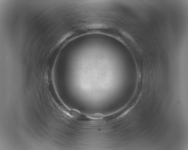 X0000080181305200612081350