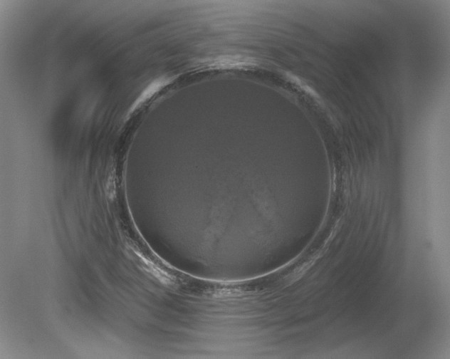 X0000080181306200612081350