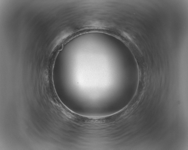 X0000080181307200612081351