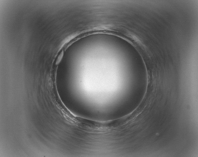 X0000080181308200612081351