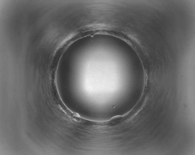 X0000080181309200612081351