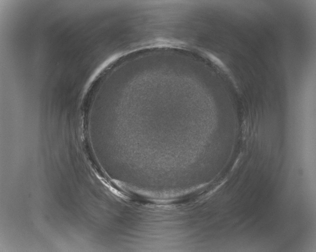 X0000080181310200612081351