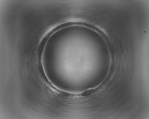 X0000080181311200612081351