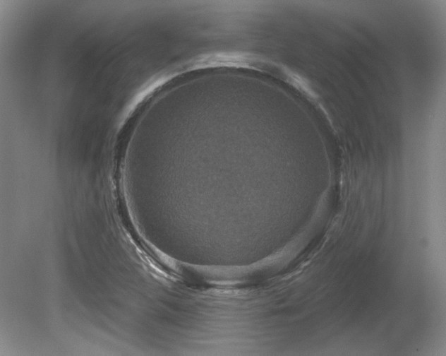 X0000080181312200612081351