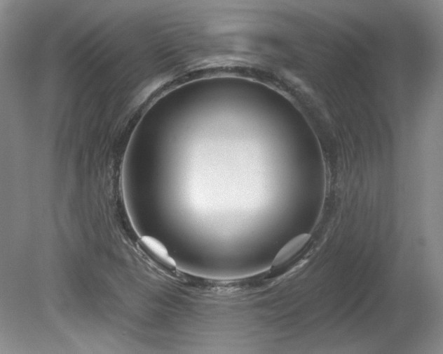 X0000080181313200612081351