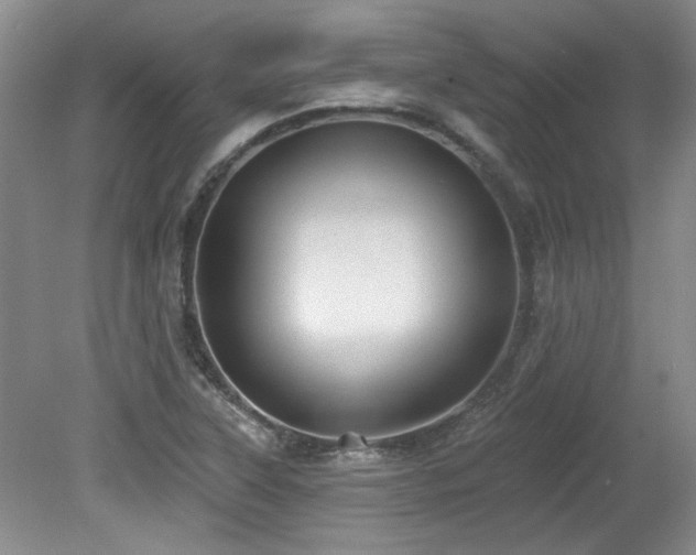 X0000080181315200612081351