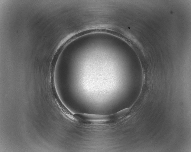 X0000080181316200612081351