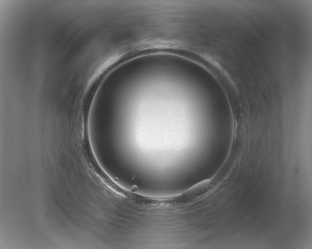 X0000080181317200612081351