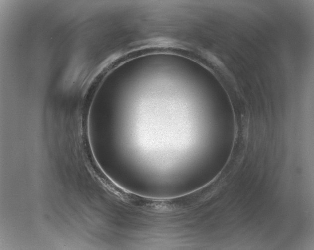 X0000080181318200612081351