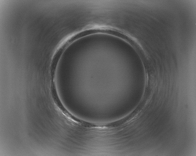 X0000080181319200612081351