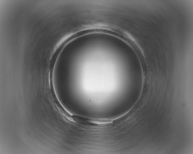 X0000080181320200612081351