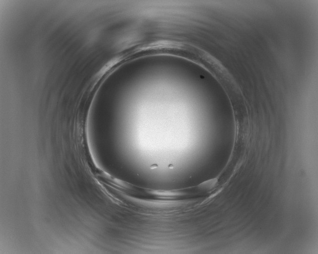 X0000080181321200612081351