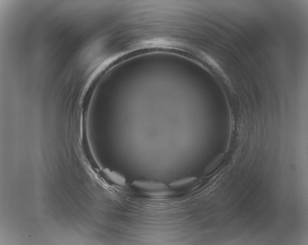 X0000080181323200612081351