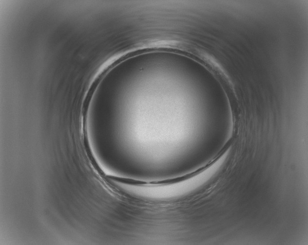 X0000080181324200612081351