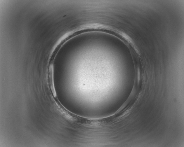 X0000080181326200612081351