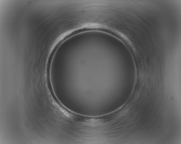 X0000080181327200612081351