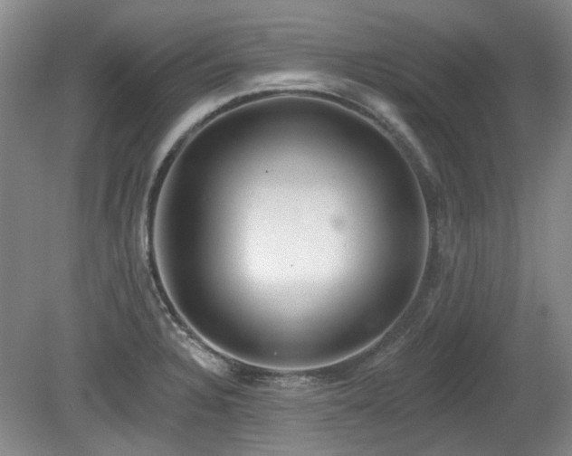 X0000080181328200612081351