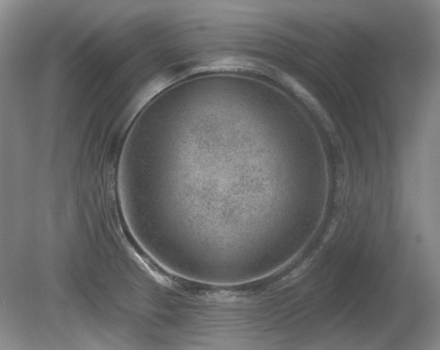 X0000080181329200612081351