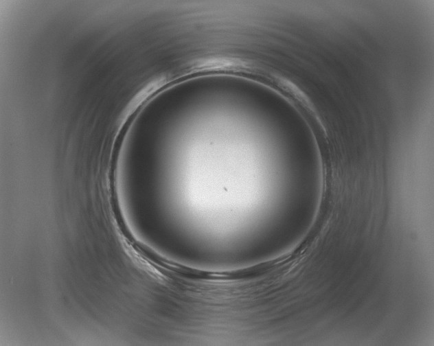 X0000080181330200612081351