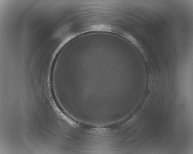 X0000080181331200612081351