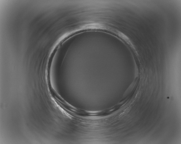 X0000080181334200612081351