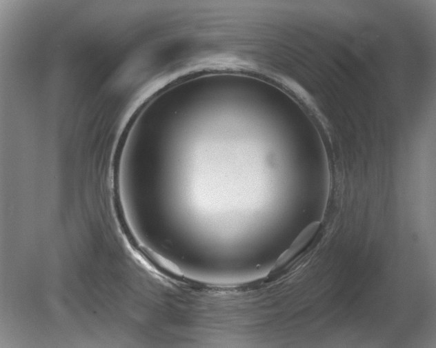 X0000080181335200612081351