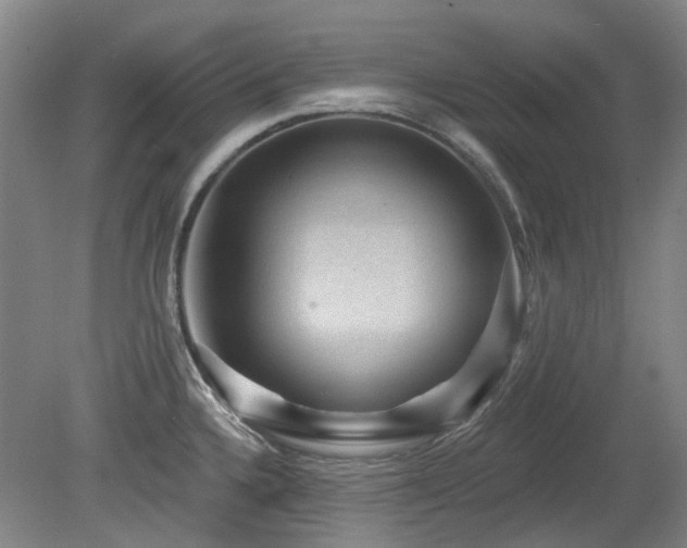 X0000080181336200612081351