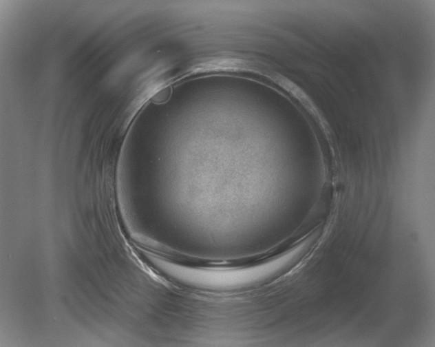 X0000080181337200612081351